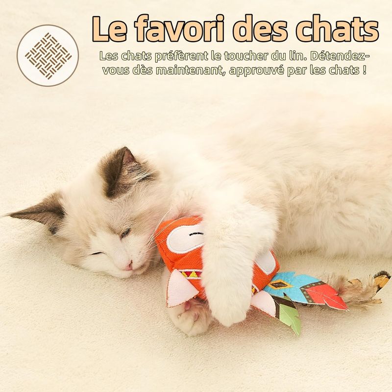 ZooVenture Lot De Jouets Chats D'intérieur