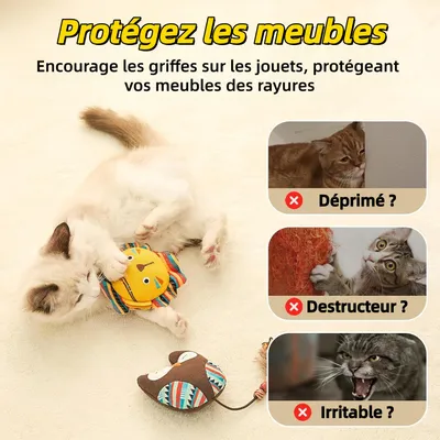 Pet Planet ZooVenture Lot De Jouets Chats D'intérieur