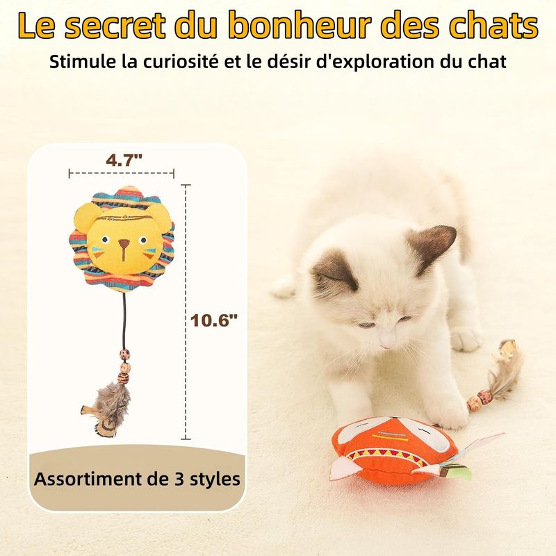 ZooVenture Lot De Jouets Chats D'intérieur