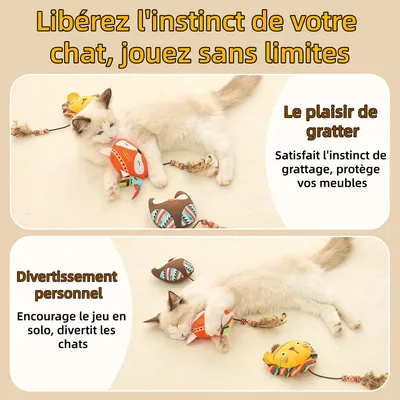 Pet Planet ZooVenture Lot De Jouets Chats D'intérieur