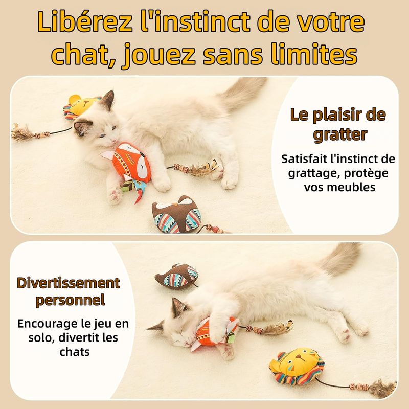 ZooVenture Lot De Jouets Chats D'intérieur