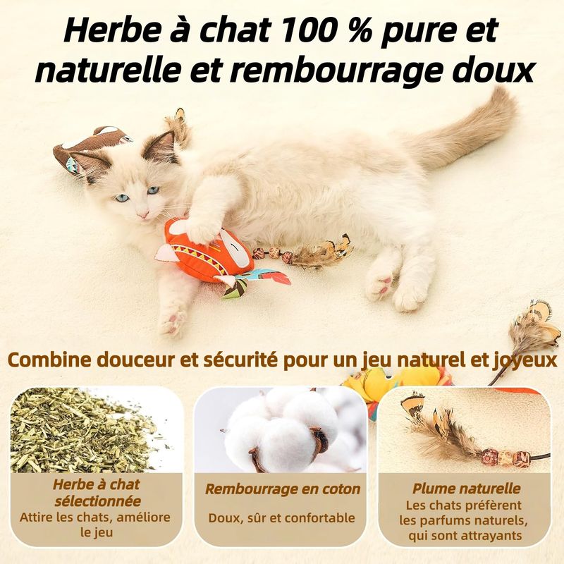 ZooVenture Lot De Jouets Chats D'intérieur