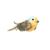 Pet Planet Jouets pour chats en forme d'oiseaux avec menthe pour chats