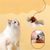 Pet Planet  moineau en peluche électronique sonore