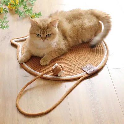Petopia Planche à gratter pour chat