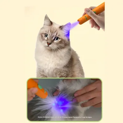 FurryFusion Jouet laser pour chat en forme de carotte