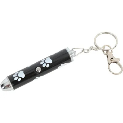 Pointeur LED  jeux pour chat