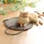 Petopia Planche à gratter pour chat