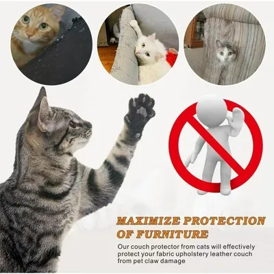 Protecteur de Rayure de Chat, 6 Stickers Protecteurs de Meubles