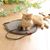 Petopia Planche à gratter pour chat