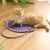 Petopia Planche à gratter pour chat