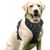 Harnais Chien Anti Traction, Arnet pour Chien Facile à Mettre Harnais