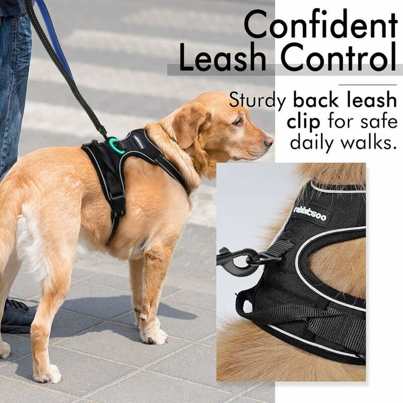 Harnais Chien Anti Traction, Arnet pour Chien Facile à Mettre Harnais
