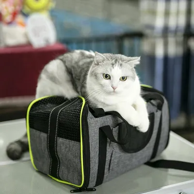 ZooVenture Sac à dos transporteur pour chiens et chats