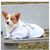 IntiMeg Peignoir en microfibre pour chien et chat