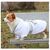 IntiMeg Peignoir en microfibre pour chien et chat