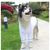 IntiMeg Peignoir en microfibre pour chien et chat