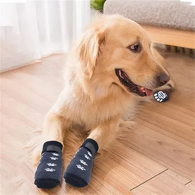 IntiMeg Rutschfeste Hundesocken IntiMeg Rutschfeste Hundesocken