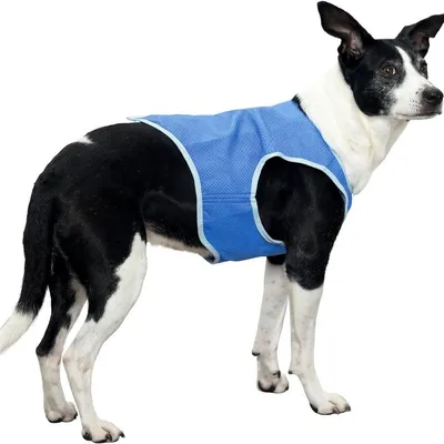FurryFusion Kühlweste für Hunde FurryFusion Kühlweste für Hunde
