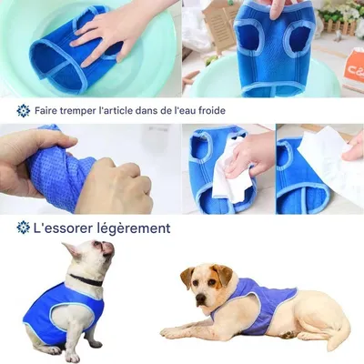 FurryFusion Kühlweste für Hunde FurryFusion Kühlweste für Hunde