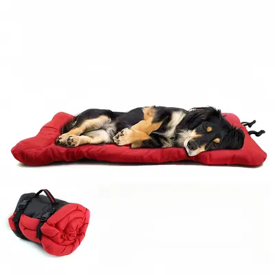 Pet Planet Canapé pliable pour chien de camping