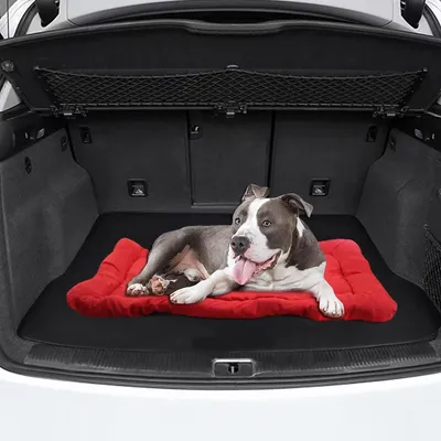 Pet Planet Canapé pliable pour chien de camping