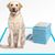 Petopia Tapis d'urine extra larges pour chien
