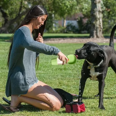 Pet Planet Botella de agua de viaje para perros