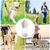 Pet Planet Chiens Goblet Portatif Pour Sortie