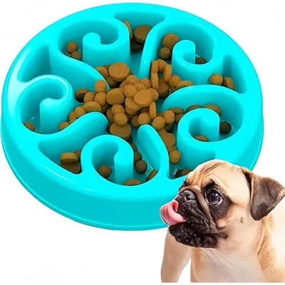 Pet Planet cuencos de comida lenta para perros