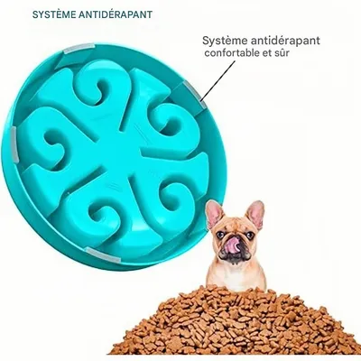 Pet Planet cuencos de comida lenta para perros