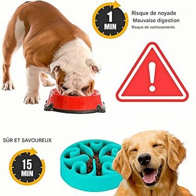 Pet Planet Gamelles slow food pour chien
