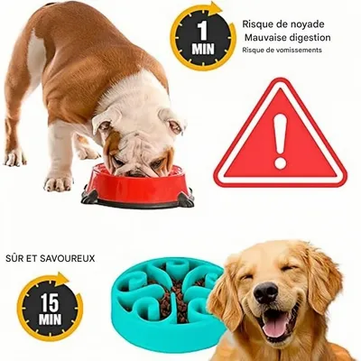 Pet Planet cuencos de comida lenta para perros