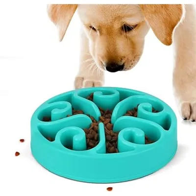 Pet Planet Gamelles slow food pour chien
