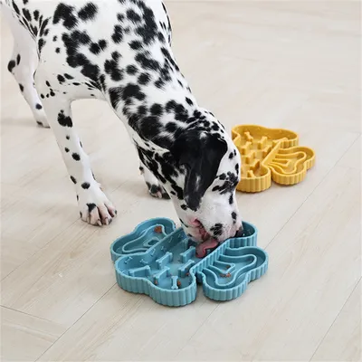 Pet Planet Bol à croquettes anti engorgement avec séparation