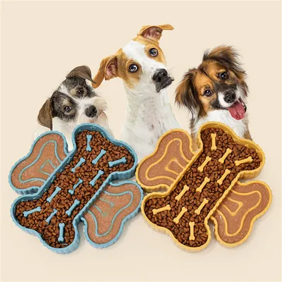 Pet Planet Bol à croquettes anti engorgement avec séparation