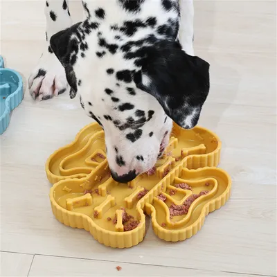 Pet Planet Bol à croquettes anti engorgement avec séparation