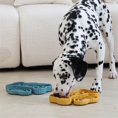 Pet Planet Bol à croquettes anti engorgement avec séparation