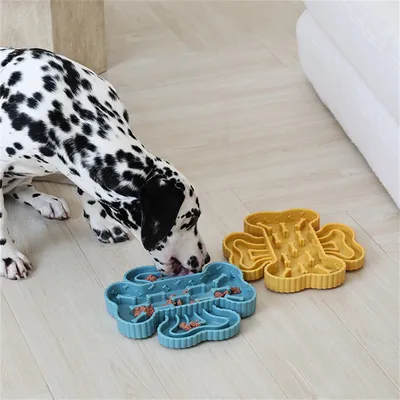 Pet Planet Bol à croquettes anti engorgement avec séparation