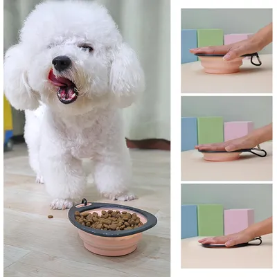 ZooVenture Pliable silicone mousqueton 3pcs gamelles pour chien et chat