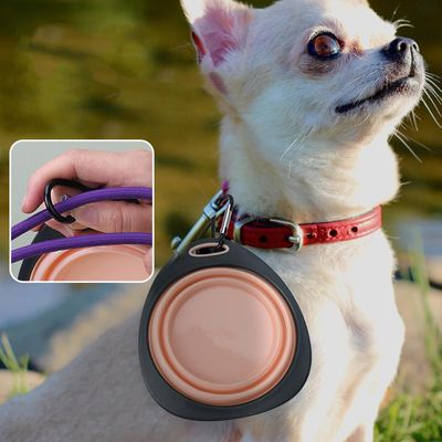 ZooVenture Pliable silicone mousqueton 3pcs gamelles pour chien et chat