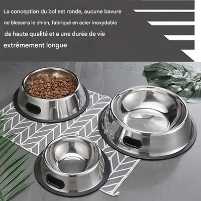 Pet Planet Cuencos para perros de acero inoxidable y goma