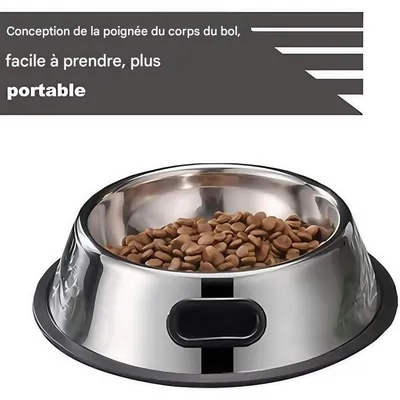 Pet Planet Cuencos para perros de acero inoxidable y goma