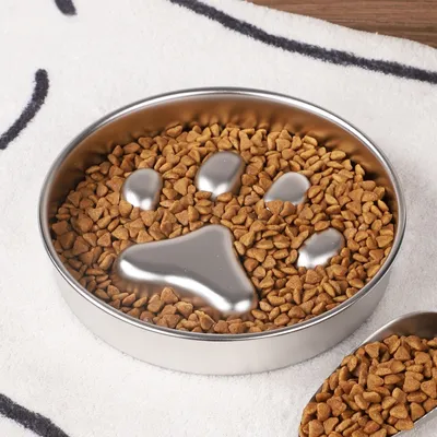 Pet Planet Bol d'alimentation en acier inoxydable pour chien