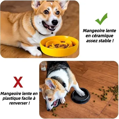 ZooVenture Moderne Gamelle en céramique noire Chien et Chat