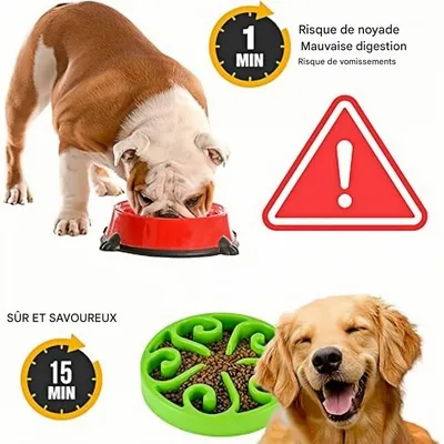 Pet Planet cuencos de comida lenta para perros