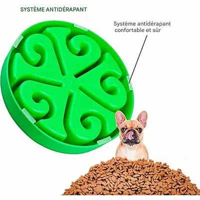 Pet Planet cuencos de comida lenta para perros