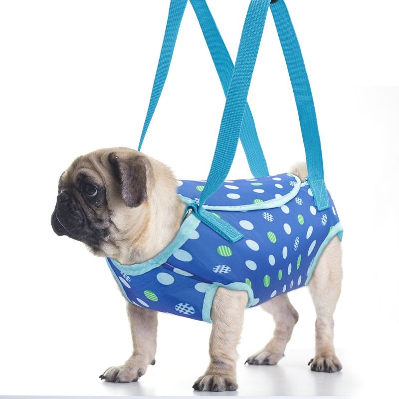FurryFusion Sac de transport à bandoulière pour petits chiens