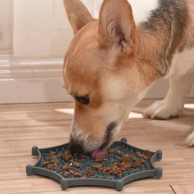 FurryFusion Tapis à lécher pour chien