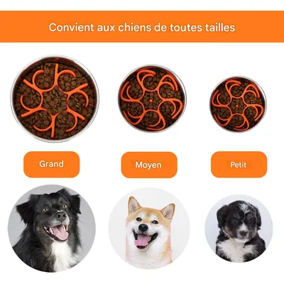 Pet Planet Gamelles slow food pour chien